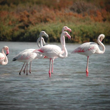 Alojamiento Rural Coto De La Isleta El Puerto de Santa María Eksteriør billede