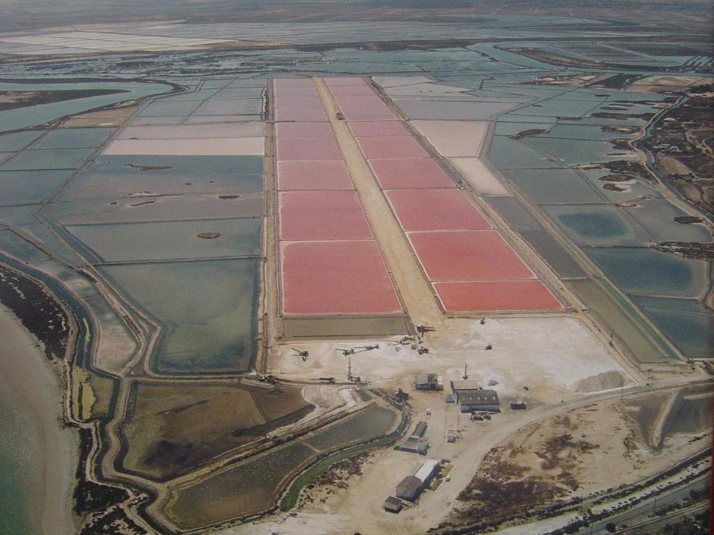 Alojamiento Rural Coto De La Isleta El Puerto de Santa María Eksteriør billede